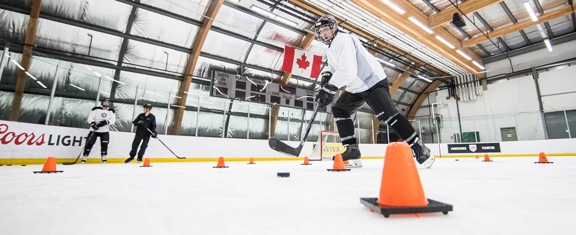 Picture of Adult Discover Hockey - Practice & Play